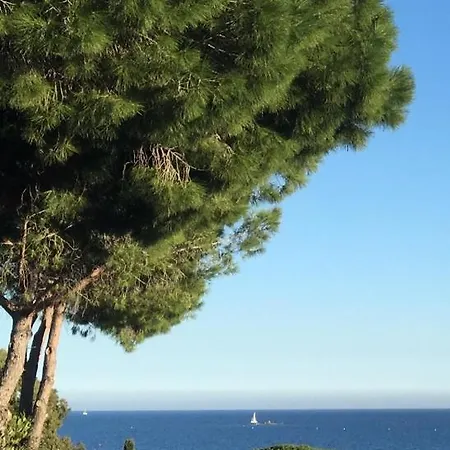 D'hotes Vue Mer A 2 Min A Pied 3* Sainte-Maxime